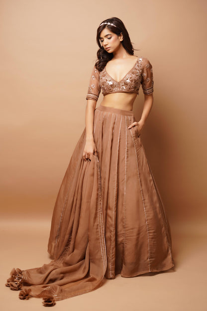 Golden Lehenga Set (Set Of 3)