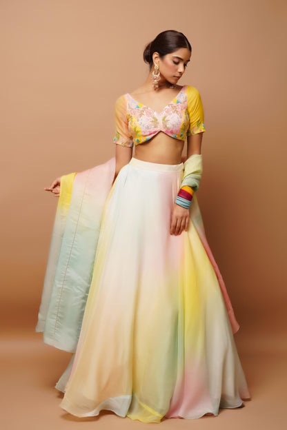 Rainbow Hand Painted Lehenga Set (Seto Of 3)