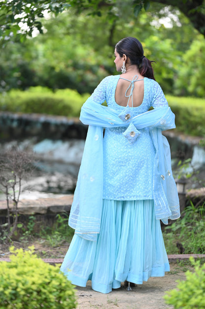 Powder Blue Sharara set